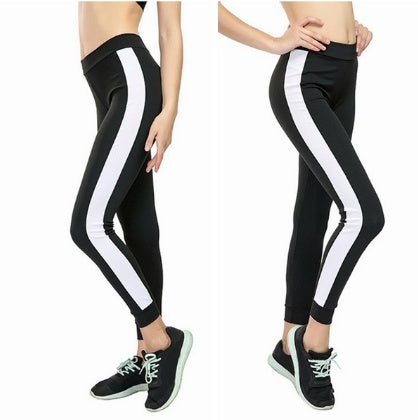 Sport Pants Cintura Alta